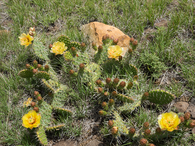 %_tempFileName2015-05-25_02_OK_High_Point-5252053%