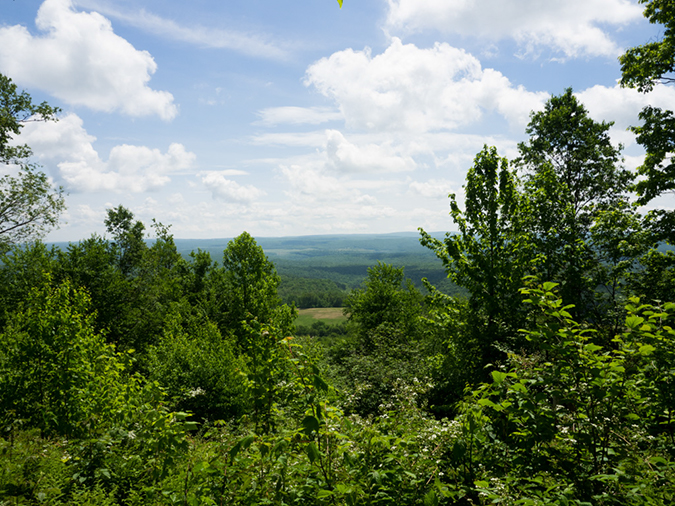 %_tempFileName2015-05-28_03_Maryland_High_Point-5282105%