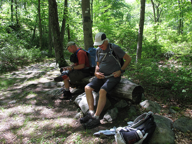 %_tempFileName2015-06-03_Johnson_Town-0067%