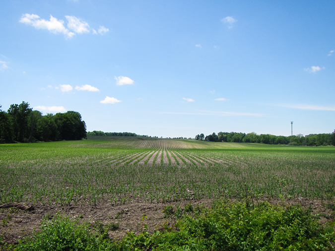 %_tempFileName2015-06-07_01_Ithaca-Taughannock-Buttermilk_Falls-0539%
