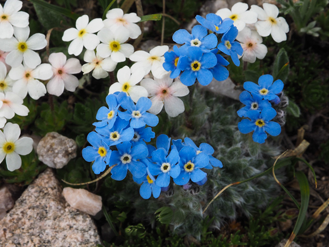 %_tempFileName2015-07-01_01_Deception_Peak-7012354%