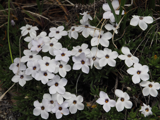 %_tempFileName2015-07-01_01_Deception_Peak-7012358%