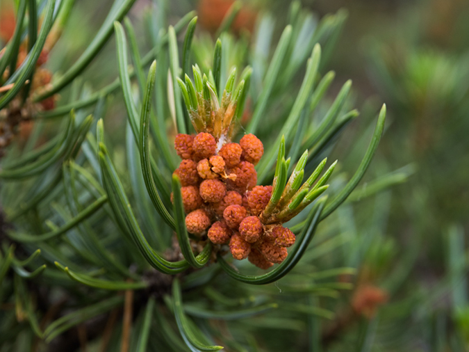 %_tempFileName2015-07-03_01_Devisadero_Loop-7032428%