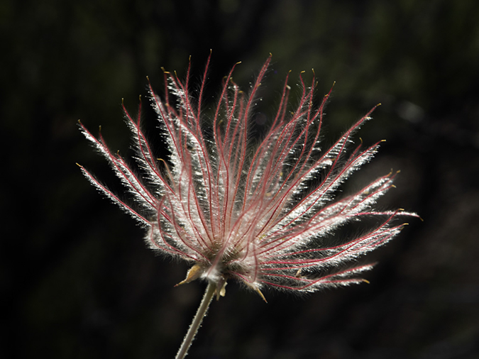 %_tempFileName2015-07-03_01_Devisadero_Loop-7032434%