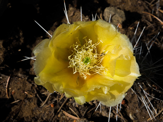 %_tempFileName2015-07-03_01_Devisadero_Loop-7032463%