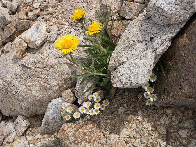 %_tempFileName2015-08-06_01_Boundary_Peak-8062092%