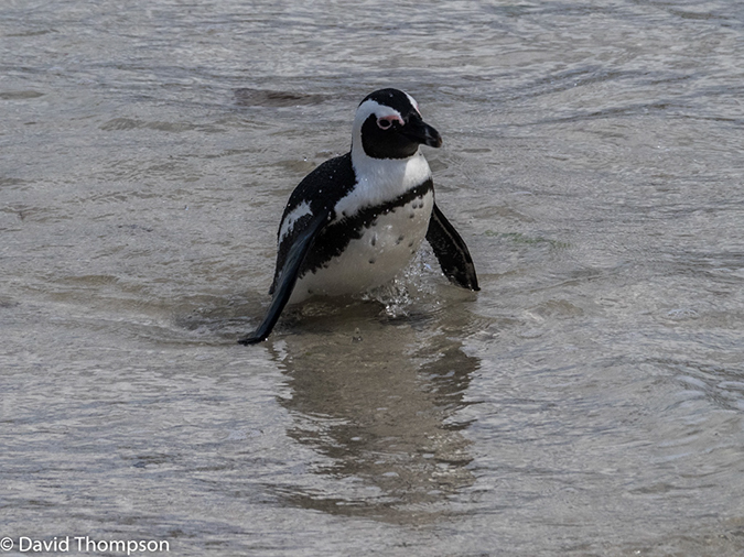 %_tempFileName2015-12_24_02_Boulder_Beach-240220%