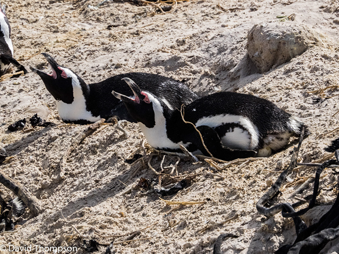 %_tempFileName2015-12_24_02_Boulder_Beach-240225%