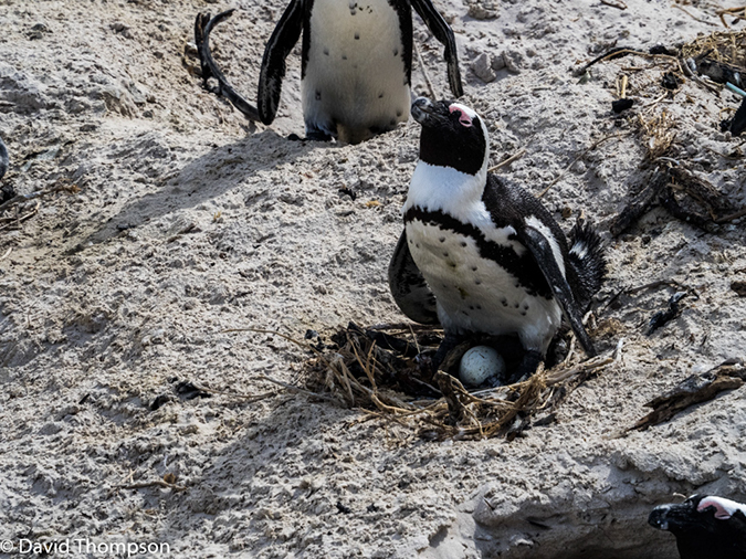 %_tempFileName2015-12_24_02_Boulder_Beach-240231%