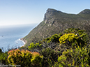 %_tempFileName2015-12_23_01_Cape_Point_Trail-230018%