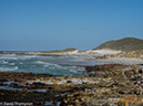 %_tempFileName2015-12_24_01_Cape_Point_Trail-240146%