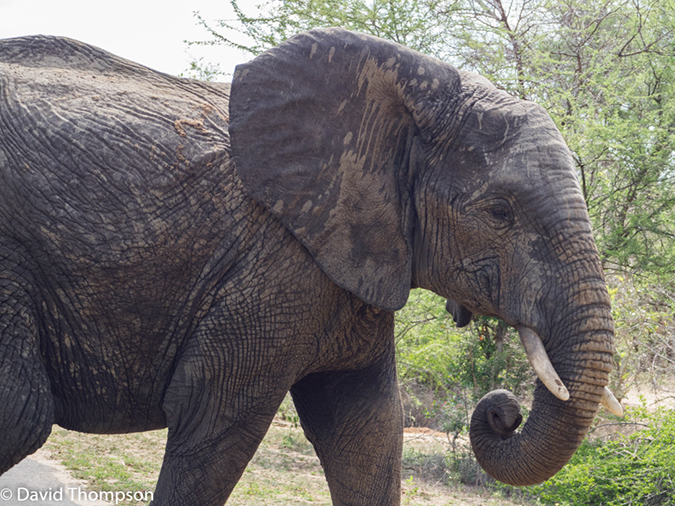 %_tempFileName2015-12_18_02_Kruger_Arrival-181573%