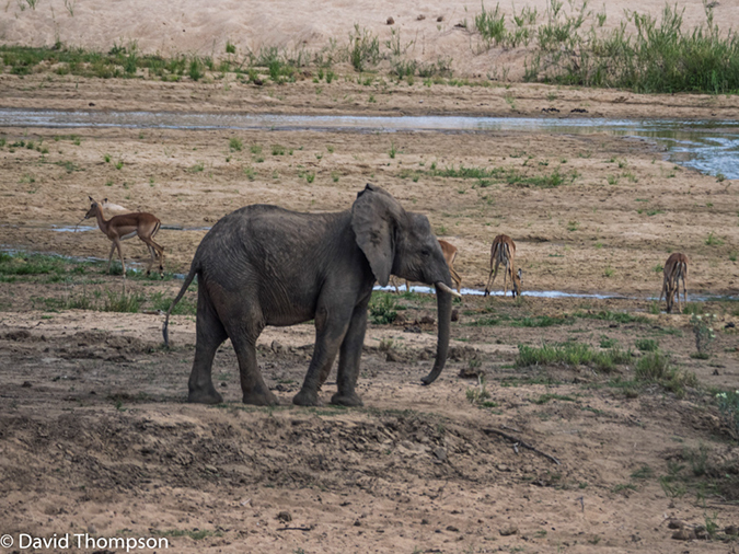 %_tempFileName2015-12_18_02_Kruger_Arrival-181574%