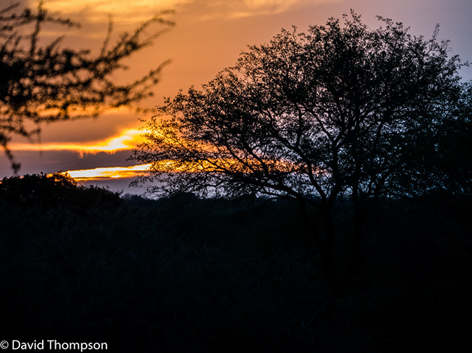 %_tempFileName2015-12_18_03_Kruger_Afternoon_Game_Drive-181720%