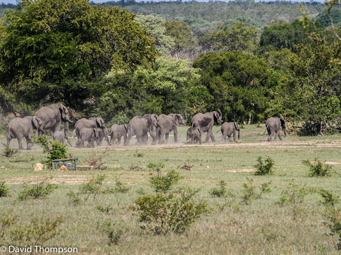 %_tempFileName2015-12_20_02_Kruger_Plain_Camp-201952%