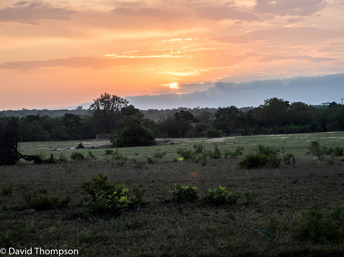 %_tempFileName2015-12_21_01_Kruger_Walking_Safari-212029%