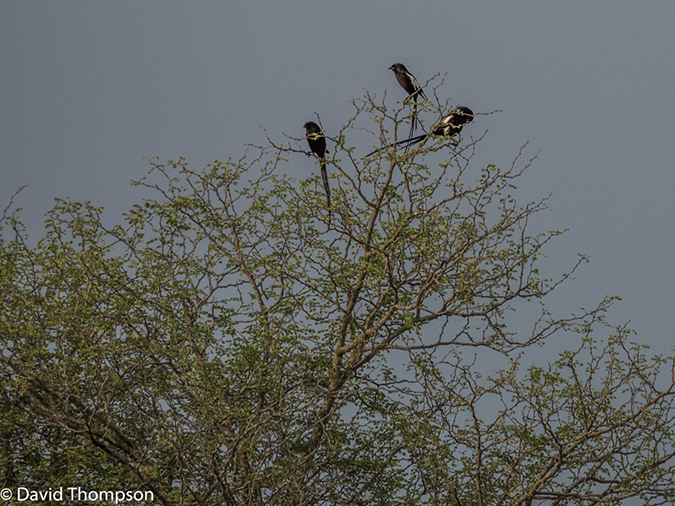 %_tempFileName2015-12_21_01_Kruger_Walking_Safari-212046%