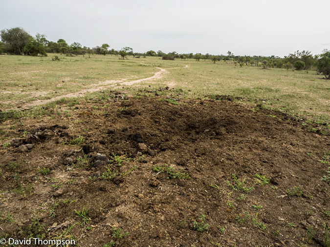 %_tempFileName2015-12_21_01_Kruger_Walking_Safari-212059%