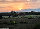 %_tempFileName2015-12_21_01_Kruger_Walking_Safari-212029%
