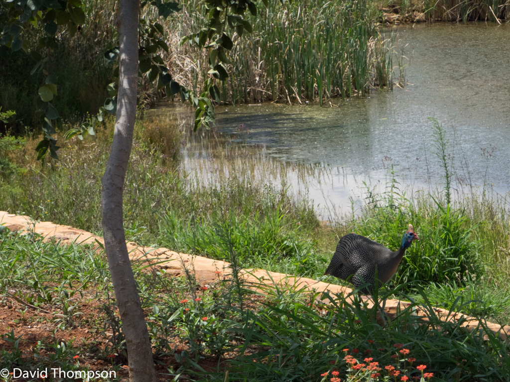 %_tempFileName2015-12_17_01_Pretoria-171542%