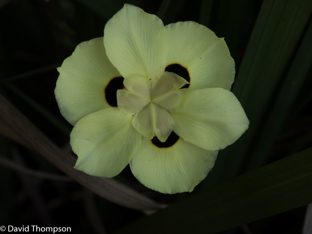 %_tempFileName2015-12_17_01_Pretoria-171546%