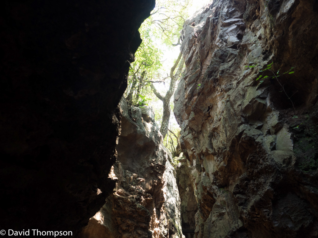 %_tempFileName2016-01-03_01_Cradle_of_Humankind-1030626%