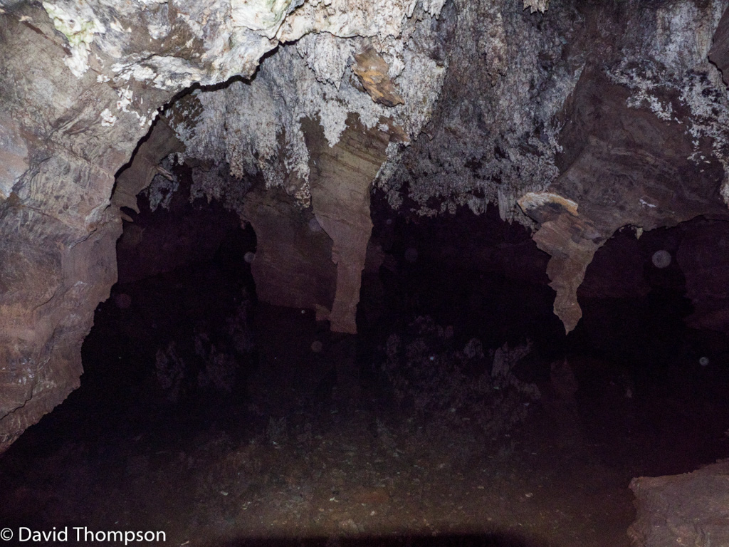 %_tempFileName2016-01-03_01_Cradle_of_Humankind-1030636%