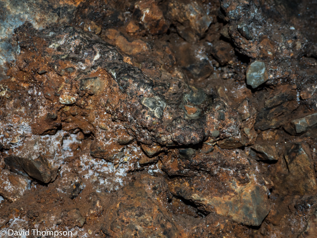 %_tempFileName2016-01-03_01_Cradle_of_Humankind-1030637%