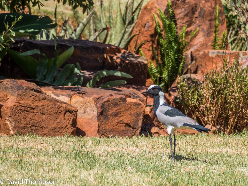 %_tempFileName2016-01-04_01_Pretoria-1040657%