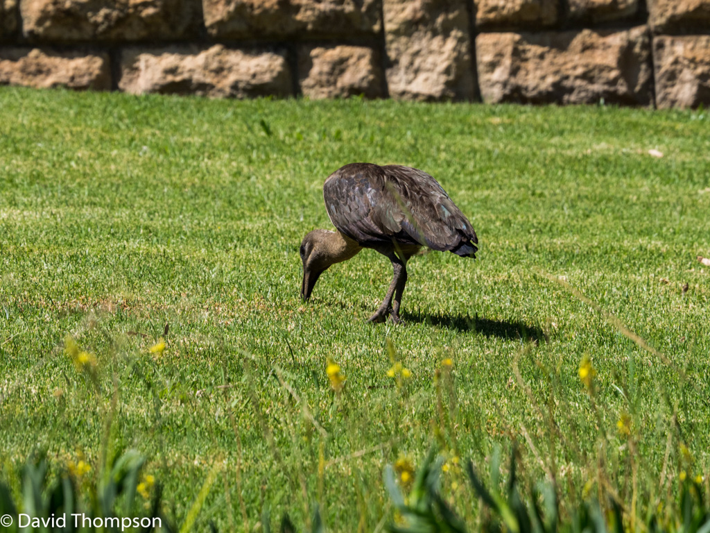 %_tempFileName2016-01-04_01_Pretoria-1040660%