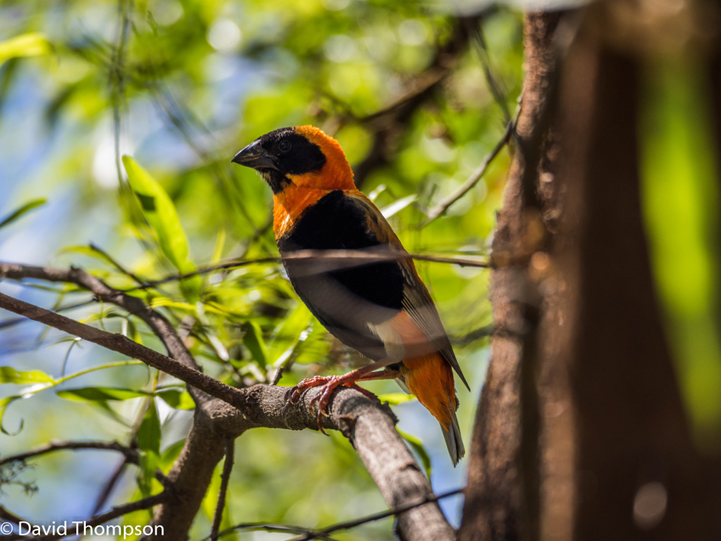 %_tempFileName2016-01-04_01_Pretoria-1040689%