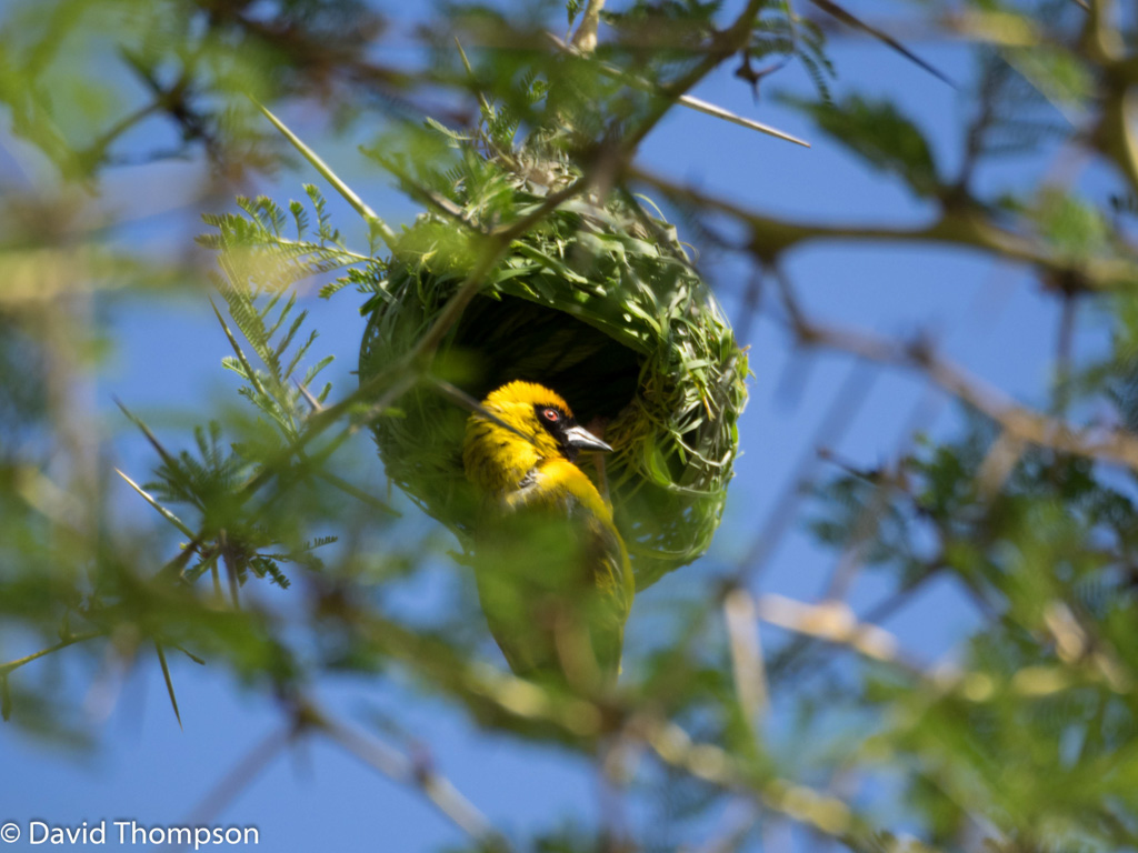 %_tempFileName2016-01-10_01_Pretoria-1100910%