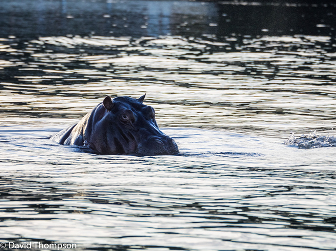 %_tempFileName2015-12_14_03_Zambezi_River_Cruise-141289%