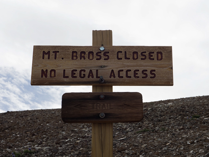 %_tempFileName2015-07-26_01_Democrat-Cameron-Lincoln_Bross-47%