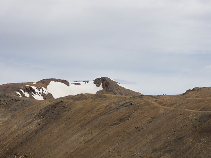 %_tempFileName2015-07-26_01_Democrat-Cameron-Lincoln_Bross-50%