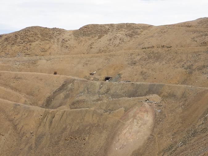 %_tempFileName2015-07-26_01_Democrat-Cameron-Lincoln_Bross-52%