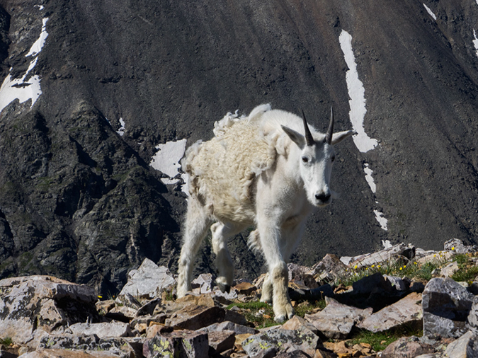 %_tempFileName2015-07-27_01_Quandary_Peak-7273309%