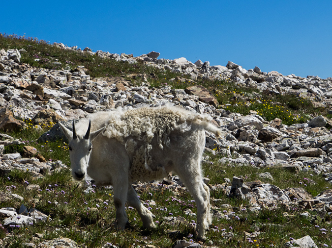 %_tempFileName2015-07-27_01_Quandary_Peak-7273310%