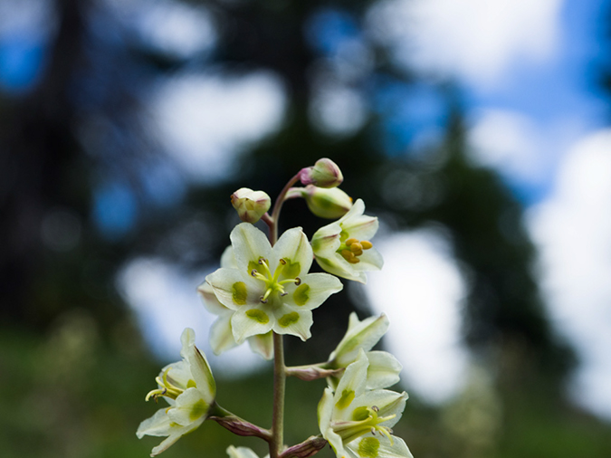 %_tempFileName2015-07-27_01_Quandary_Peak-7273318%