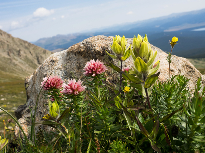 %_tempFileName2015-08-17_01_Mount_Massive-8173552%