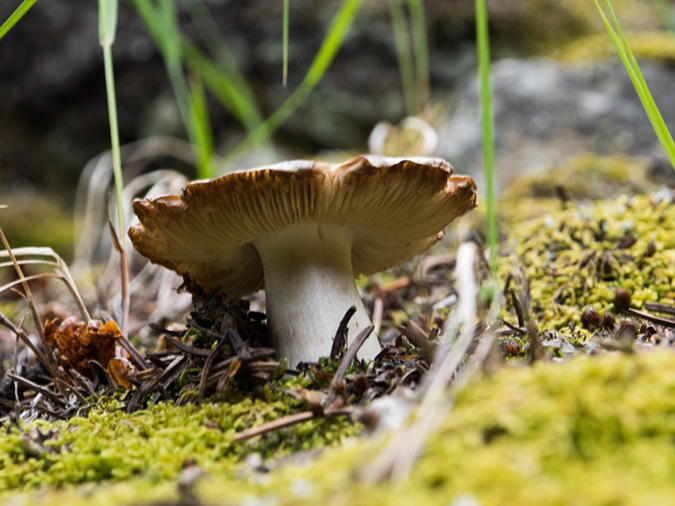 %_tempFileName2015-08-17_01_Mount_Massive-8173575%