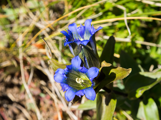 %_tempFileName2015-09-08_01_Mount_Harvard-9084095%