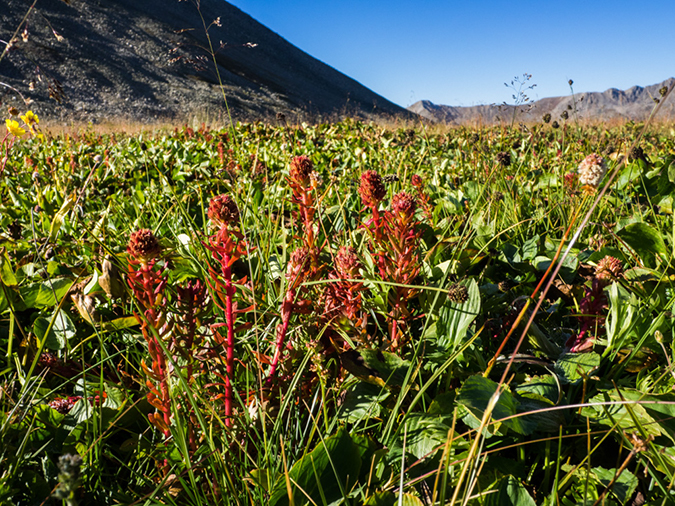 %_tempFileName2015-09-09_01_Mount_Huron-9094118%