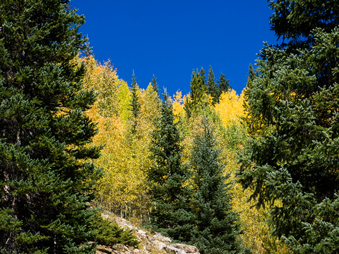 %_tempFileName2015-09-20_01_Mount_Yale-46%