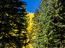 %_tempFileName2015-09-20_01_Mount_Yale-39%