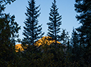 %_tempFileName2015-09-20_01_Mount_Yale-9%