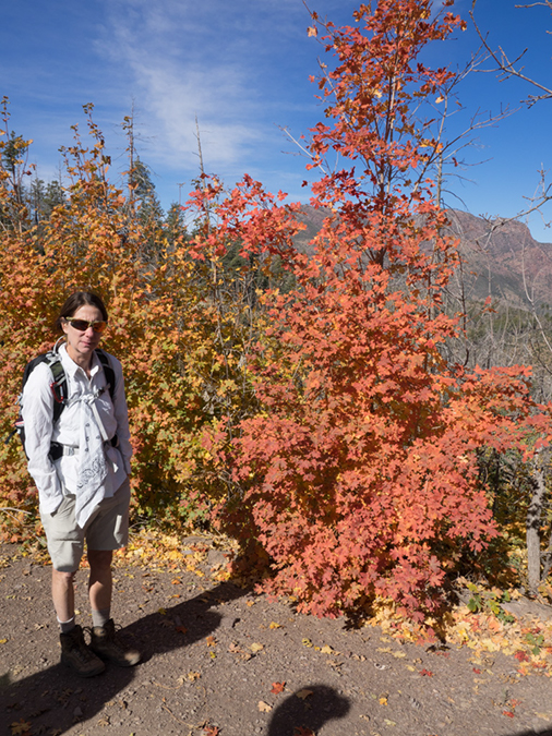 %_tempFileName2014-11-16_Gold_Ridge_Loop-161635%