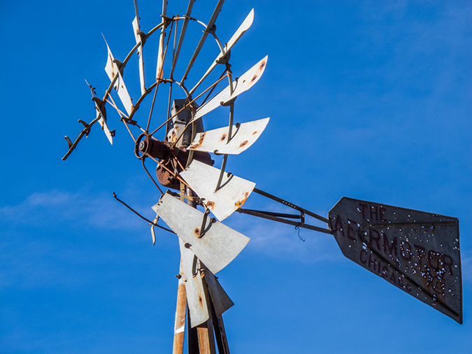 %_tempFileName2015-01-28_Superstitiona_Reed_Water-9648%