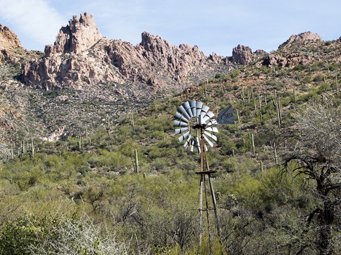 %_tempFileName2015-01-28_Superstitiona_Reed_Water-9664%