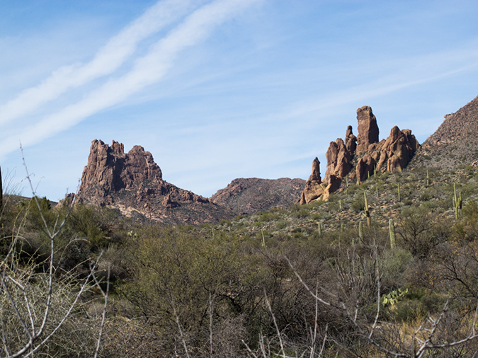 %_tempFileName2015-01-28_Superstitiona_Reed_Water-9667%